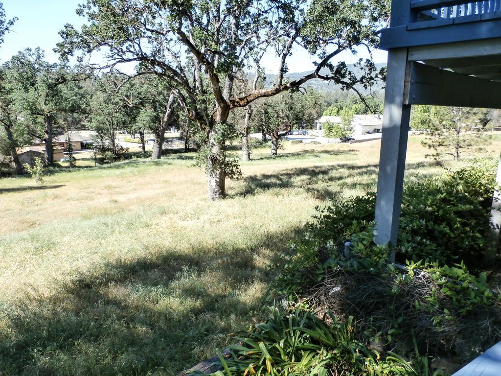 Apartamento Charming Downstairs Unit Oakhurst Exterior foto